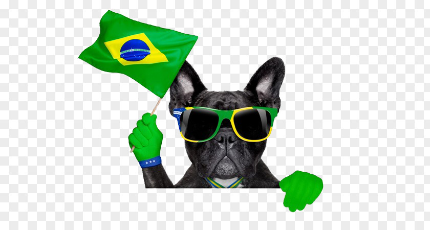 A Black Dog Fila Brasileiro 2014 FIFA World Cup Brazil National Football Team Stock Photography PNG