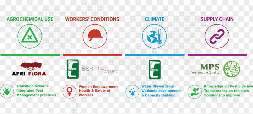 Business Supply Chain Sustainability Management PNG