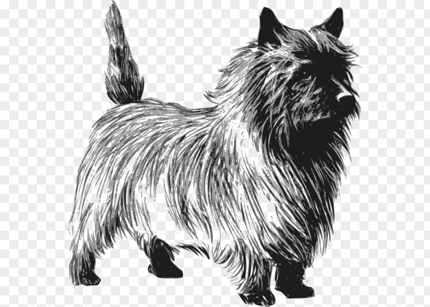 Cairn Cliparts Terrier Rat Toto Clip Art PNG