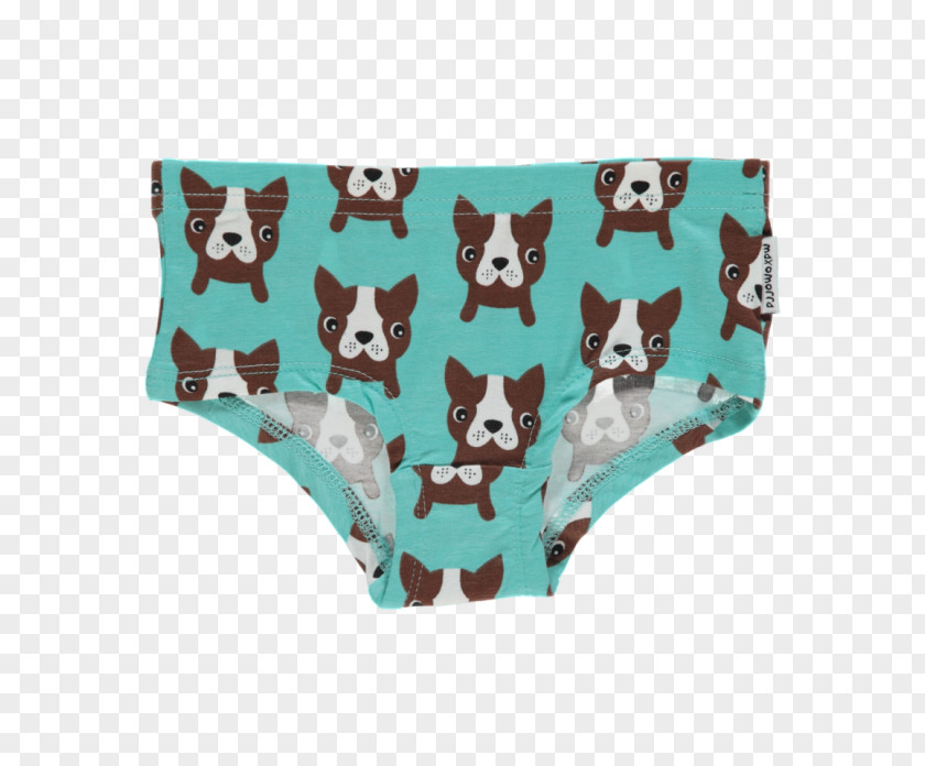 Child Breeches Diaper Dog Breed Infant PNG