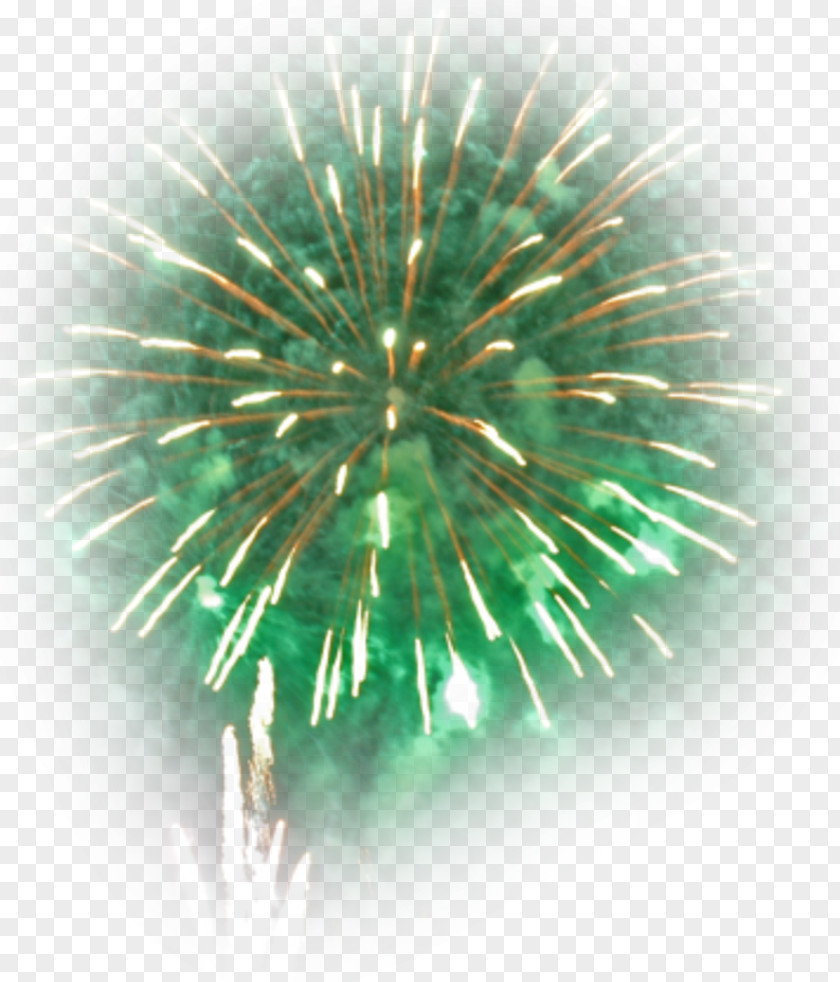 Fireworks Bû New Year Blog PNG