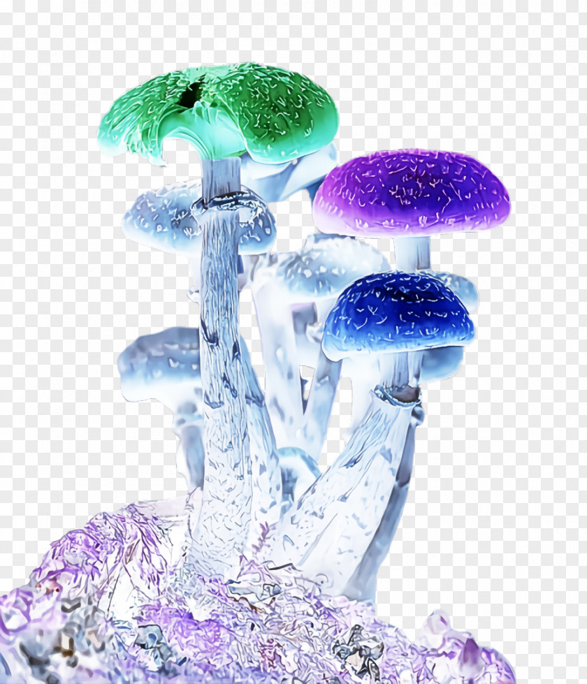 Liquid Plant Purple Violet Mushroom PNG