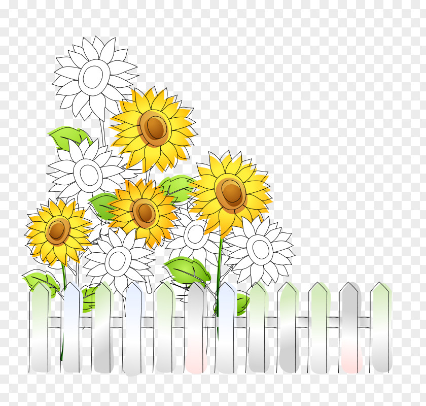 Sunflower Background Decoration Picture Common Download PNG