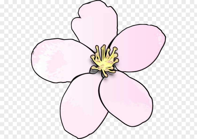 Wildflower Pedicel Watercolor Pink Flowers PNG