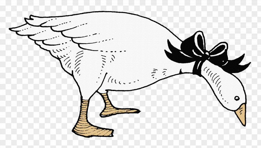 Creative Hand-painted Big White Goose Domestic Cygnini Duck PNG