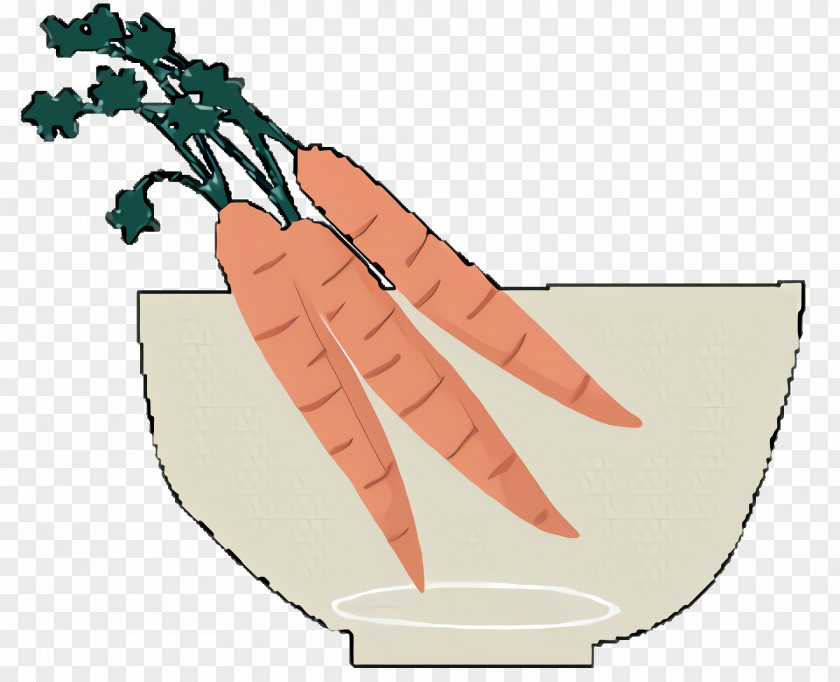 Parsnip Vegan Nutrition Baby Cartoon PNG