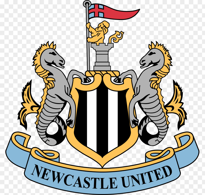 Premier League Newcastle United F.C. Upon Tyne Manchester Hull City PNG