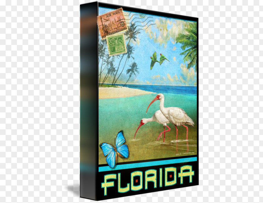 Travel Posters Advertising Canvas Print Ecosystem Fauna Bird PNG