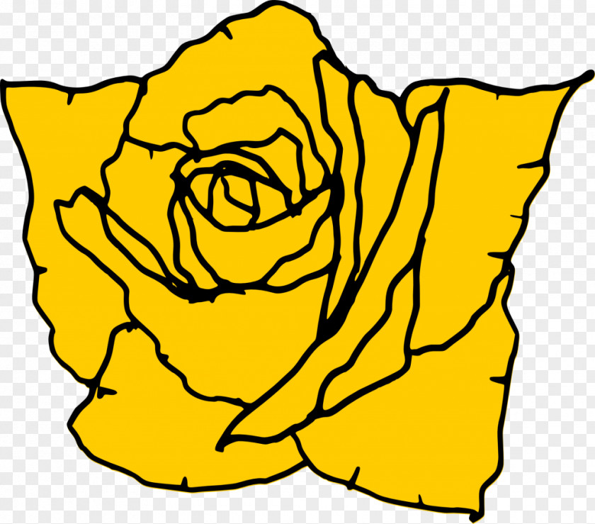 White Rose Drawing PNG