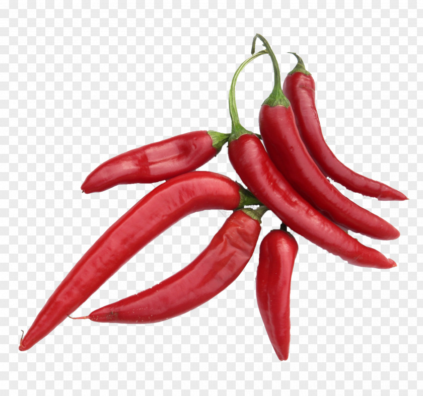 Capsicum Annuum Chili Pepper Cayenne Tabasco Peperoncino Spice PNG