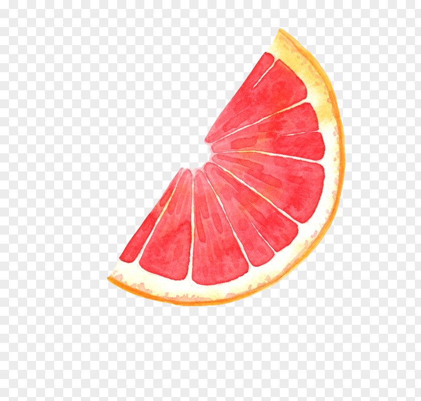 Cartoon Grapefruit Cut Pomelo Blood Orange Illustration PNG