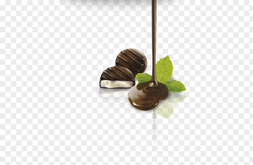 Chocolate Bonbon PNG