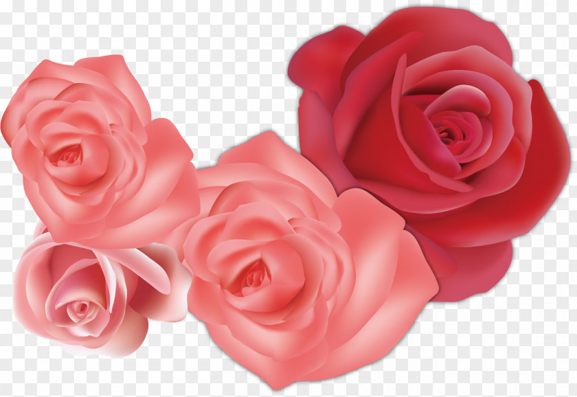 Creative Pink Roses Sea Garden Beach Rose Flower Euclidean Vector PNG