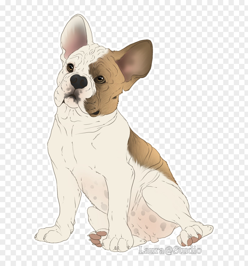 Cute French Bulldog Toy Puppy Dog Breed PNG