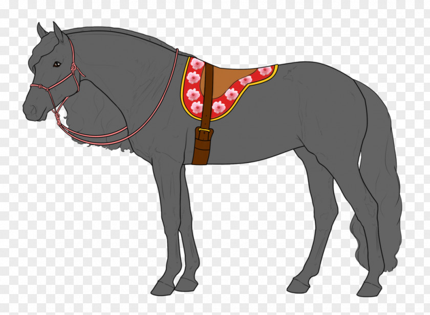 Mustang Mule Stallion Rein Mare PNG