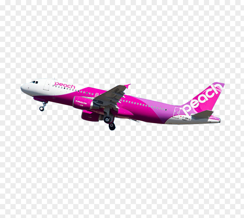 Peach Kansai International Airport Flight Aviation Airbus Airline PNG