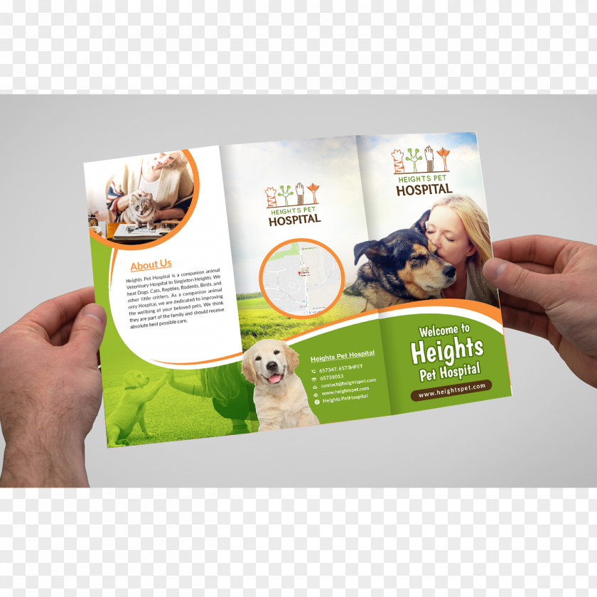 Pet Hospital Brochure Brand PNG