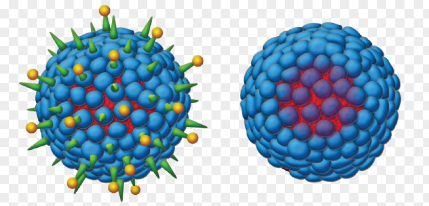 Viral Hepatitis B Virus Vaccine PNG
