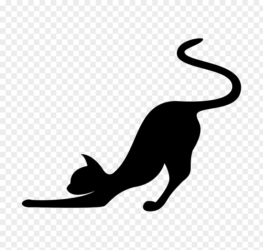 Wildlife Blackandwhite Cat Silhouette PNG