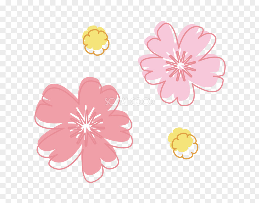 Cherry Blossom Book Illustration Clip Art PNG