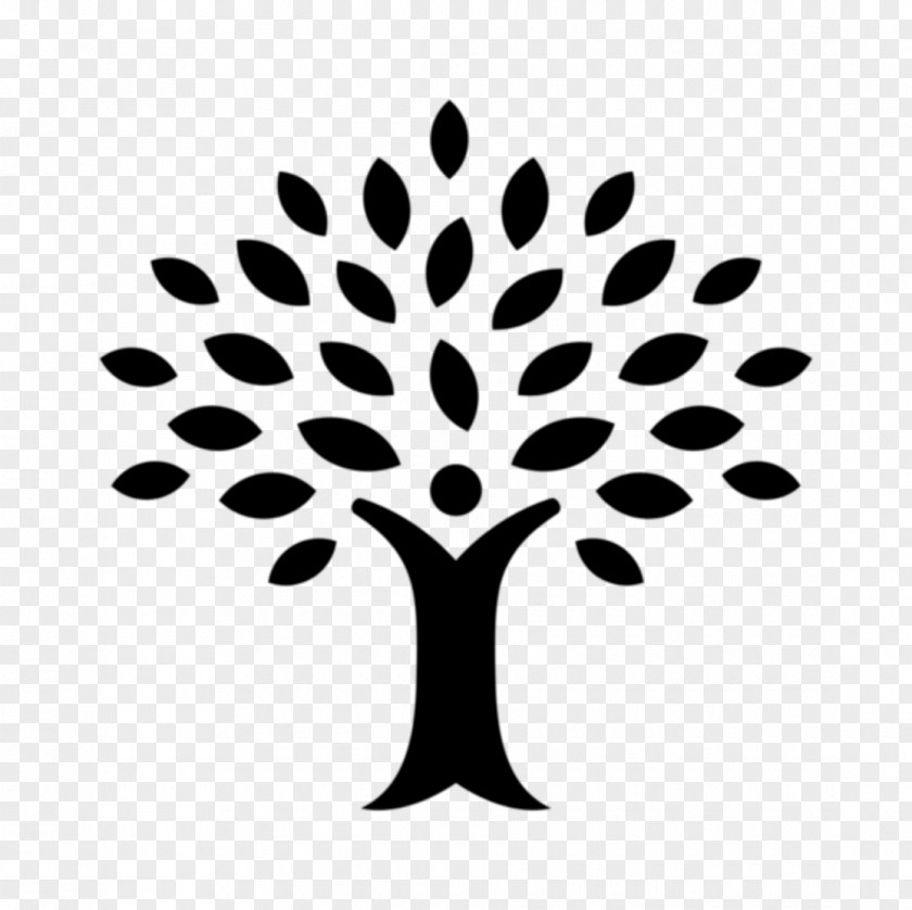 Line Art Plant Tree Leaf Black-and-white Woody Branch PNG