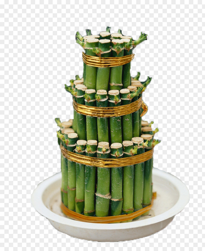 Lucky Bamboo In Kind China Chinese New Year Plant PNG