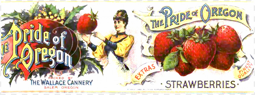 Strawberry People Oregon City Food Fruit PNG