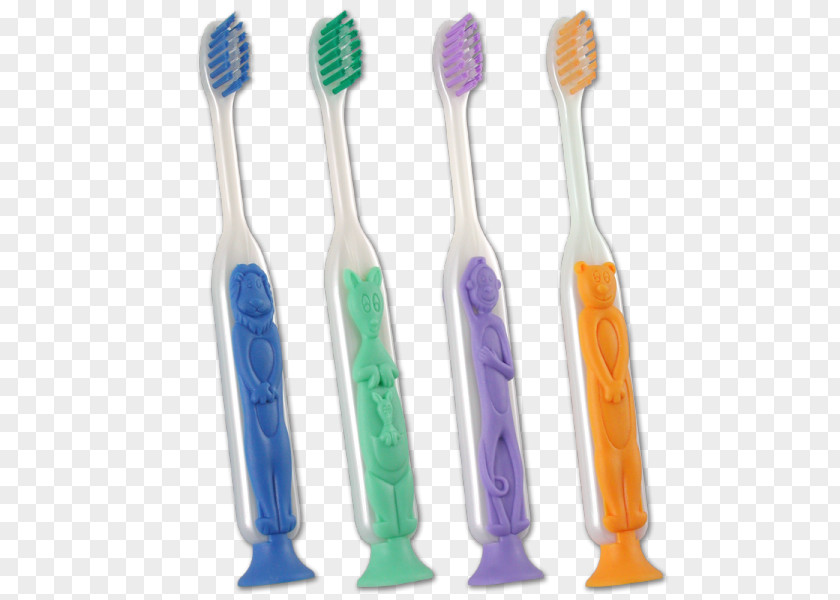 Toothbrush Gums Dentistry Human Tooth PNG