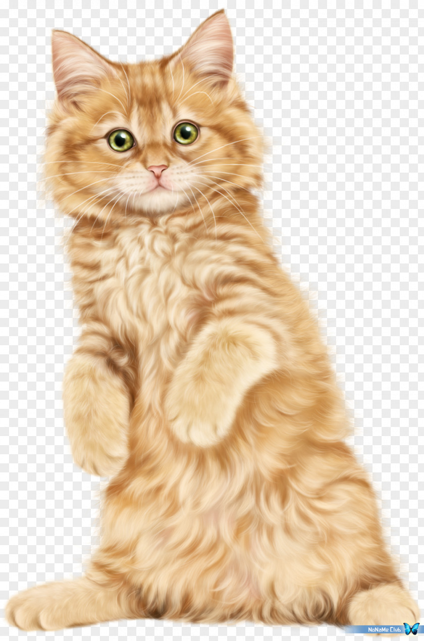 tree Cat Kitten Clip Art PNG