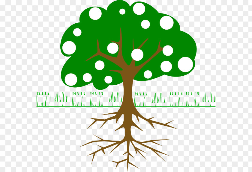 Tree Clip Art PNG