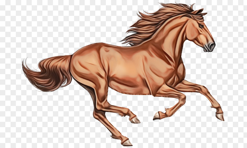 Fictional Character Mustang Horse Animal Figure Sorrel Stallion Mare PNG