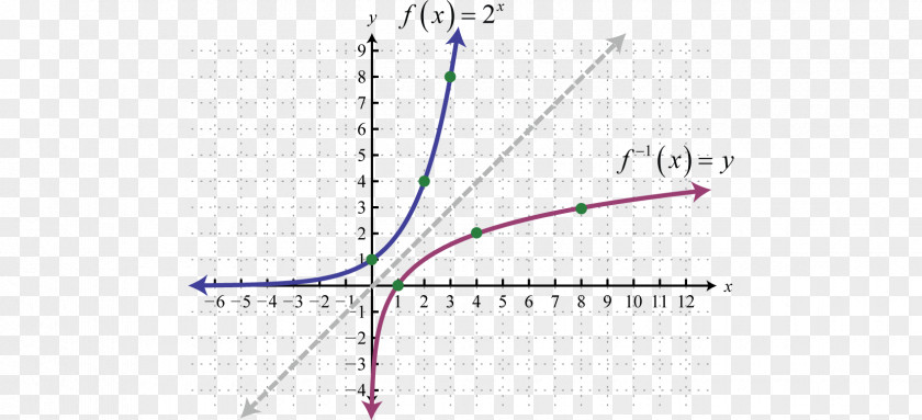 Function Formula Opposite Chemistry Physical Fitness Centre Science PNG