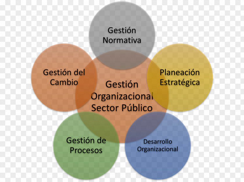 Government Sector Organization Development Business Administration Public Gestión PNG