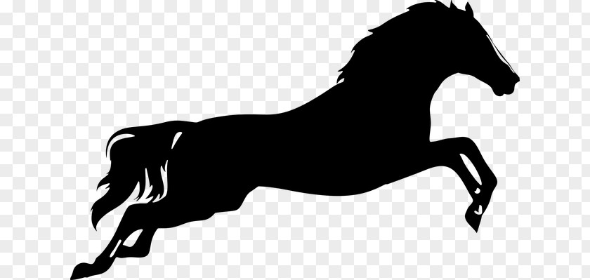 Horse Vector Graphics Clip Art Silhouette Jumping PNG