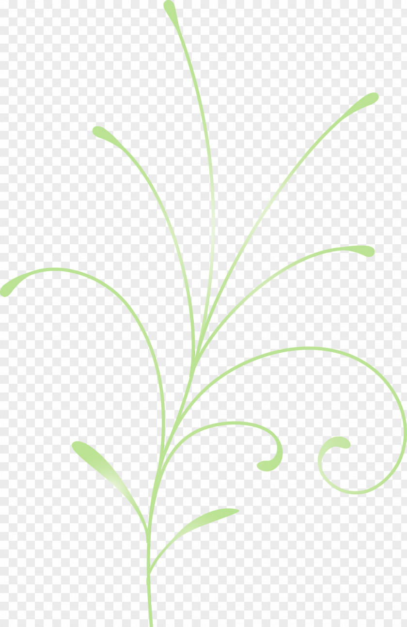 Leaf Grass Green Plant Family PNG