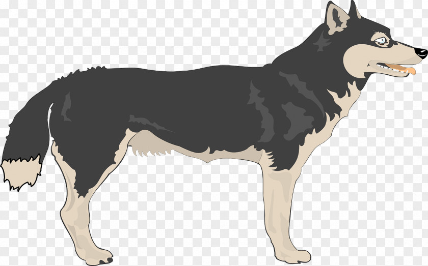 Black Husky Siberian Alaskan Malamute Puppy Clip Art PNG