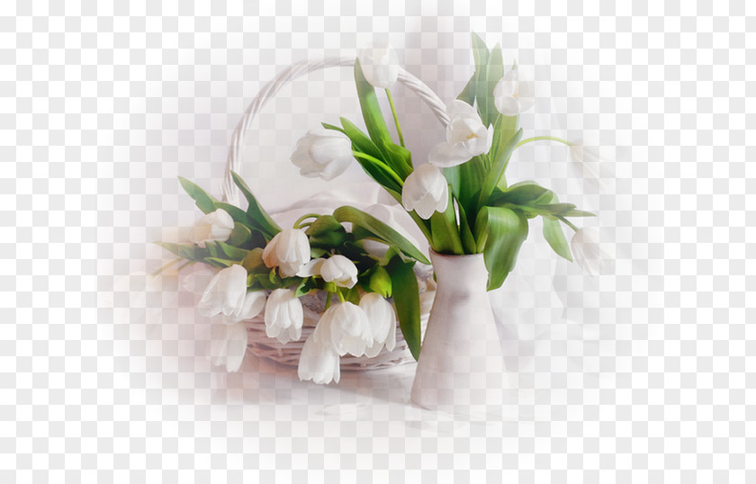 Flower Still Life With Flowers And Fruit Tulip PNG
