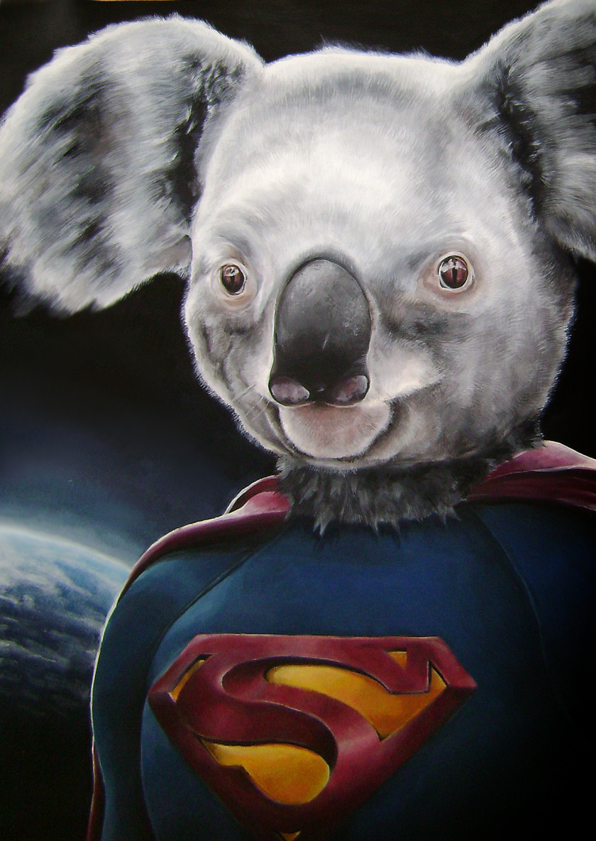 Koala Marsupial DeviantArt Painting PNG