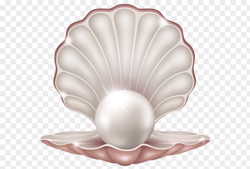 Pearl Jewellery Icon PNG