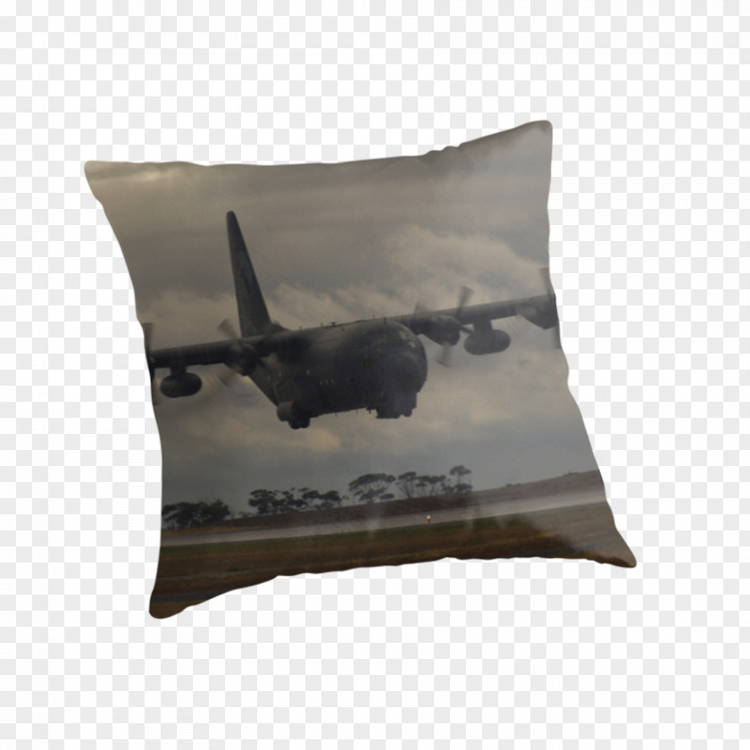 Pillow Throw Pillows Phlebotomy Cushion Vacutainer PNG