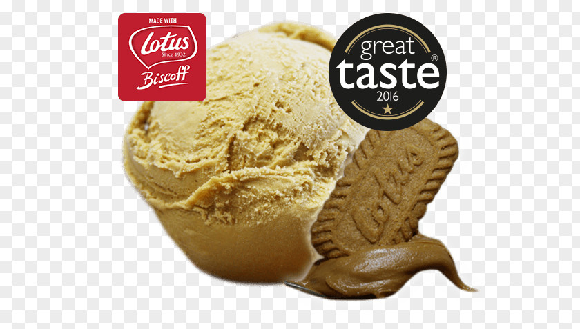 Scoop Ice Cream Gelato Sorbet Flavor PNG