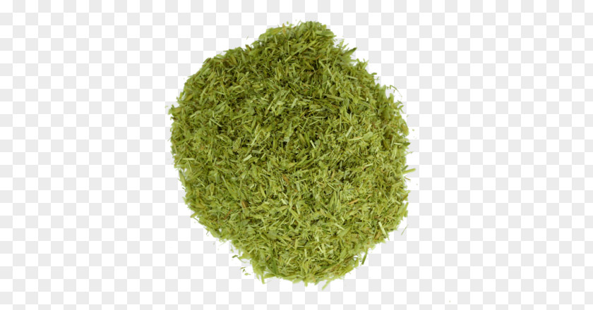 Tea Sencha Matcha Green Powder PNG
