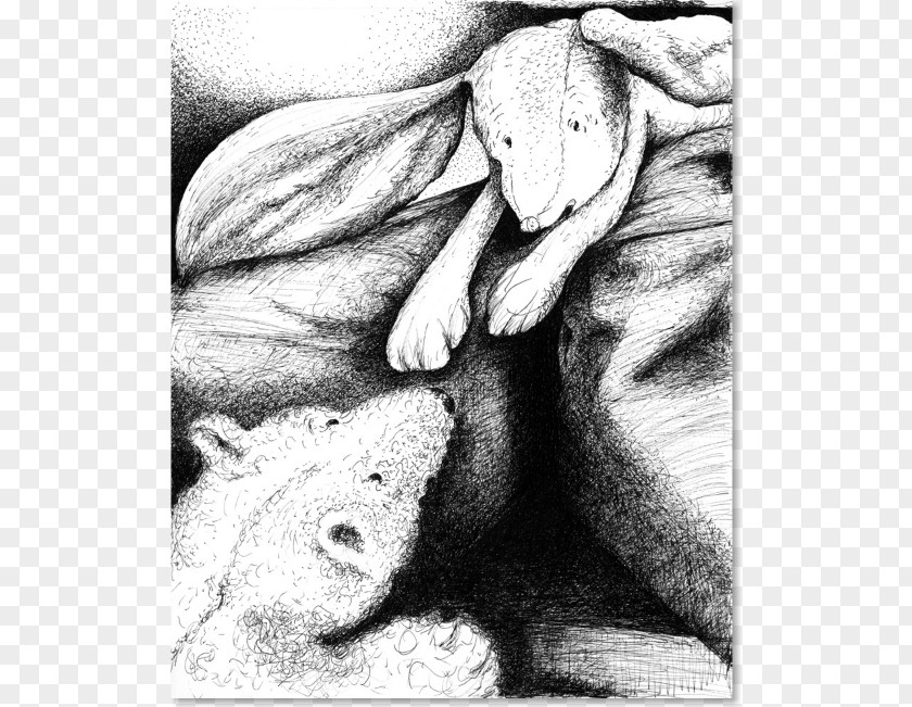 Bear And Rabbit Homo Sapiens Finger Drawing Sketch PNG