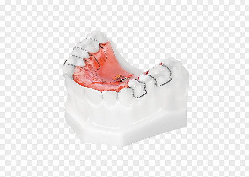 Design Tooth Health PNG