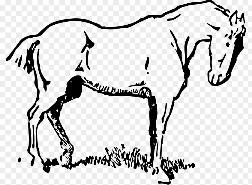 Mustang Draft Horse Tennessee Walking Clip Art PNG