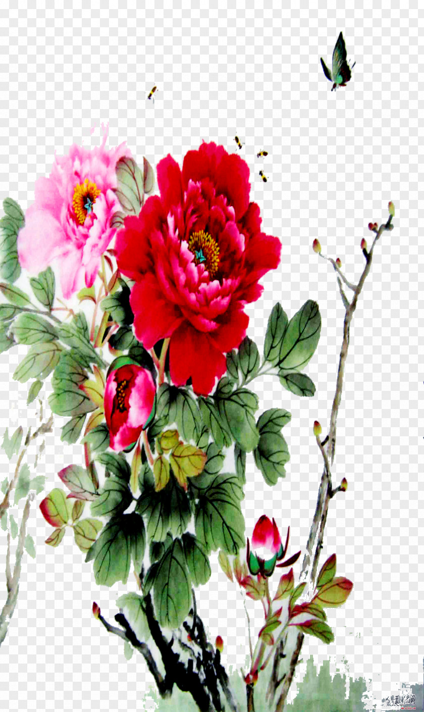 Peony Floral Design Moutan Cut Flowers PNG