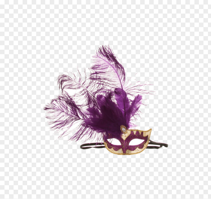 Purple Feathers Mask Masquerade Ball Costume Party Blindfold PNG