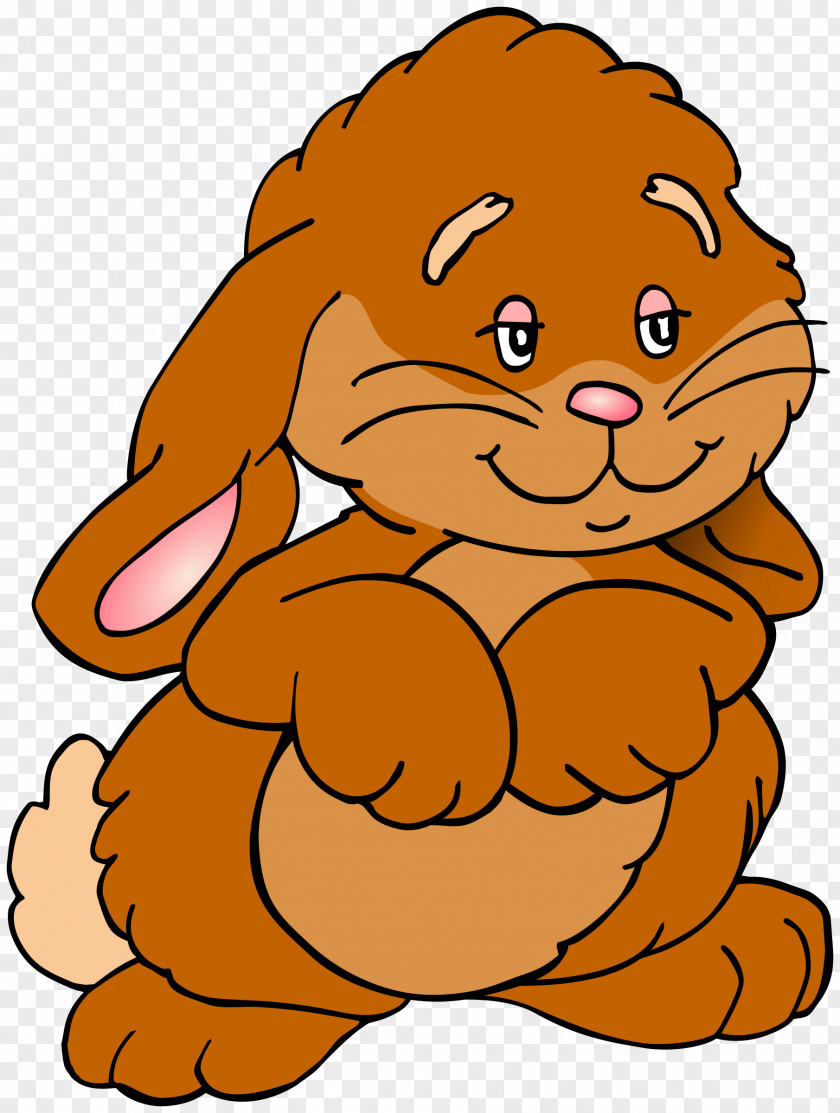Rabbit Image Vector Graphics Clip Art Cartoon Drawing PNG