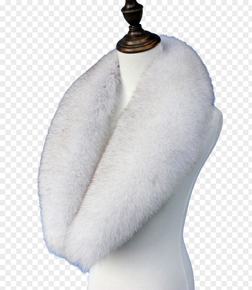 Raccoon Fur Coat Shawl Collar Clothing Scarf Download PNG