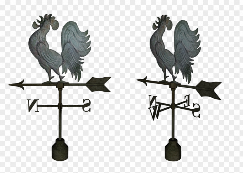 Rooster Weather Vane Drawing Chicken PNG